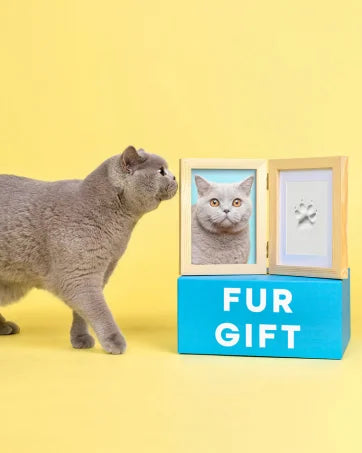 Kit Impronte Zampe Cane Gatto e Manine Bambino - Tampone Inchiostro Atossico per Ricordo Cuccioli e Neonati