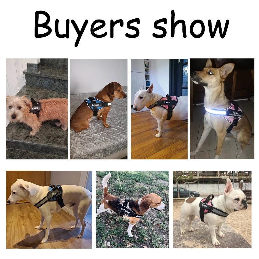 Pettorina Riflettente per Cani Anti-Tiro con Patch ID Personalizzabile - Traspirante e Regolabile