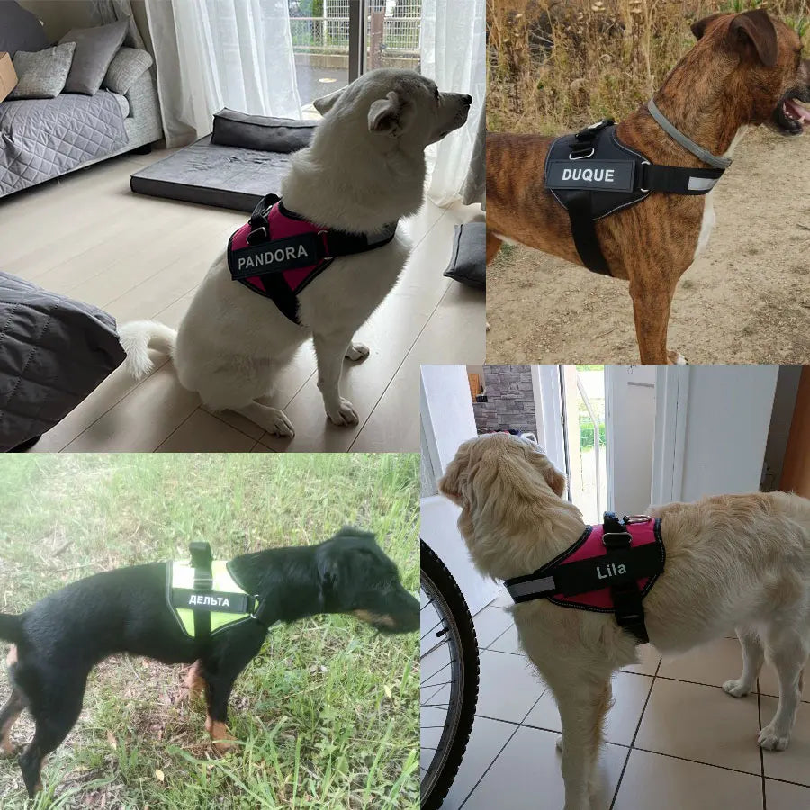 Pettorina Riflettente per Cani Anti-Tiro con Patch ID Personalizzabile - Traspirante e Regolabile