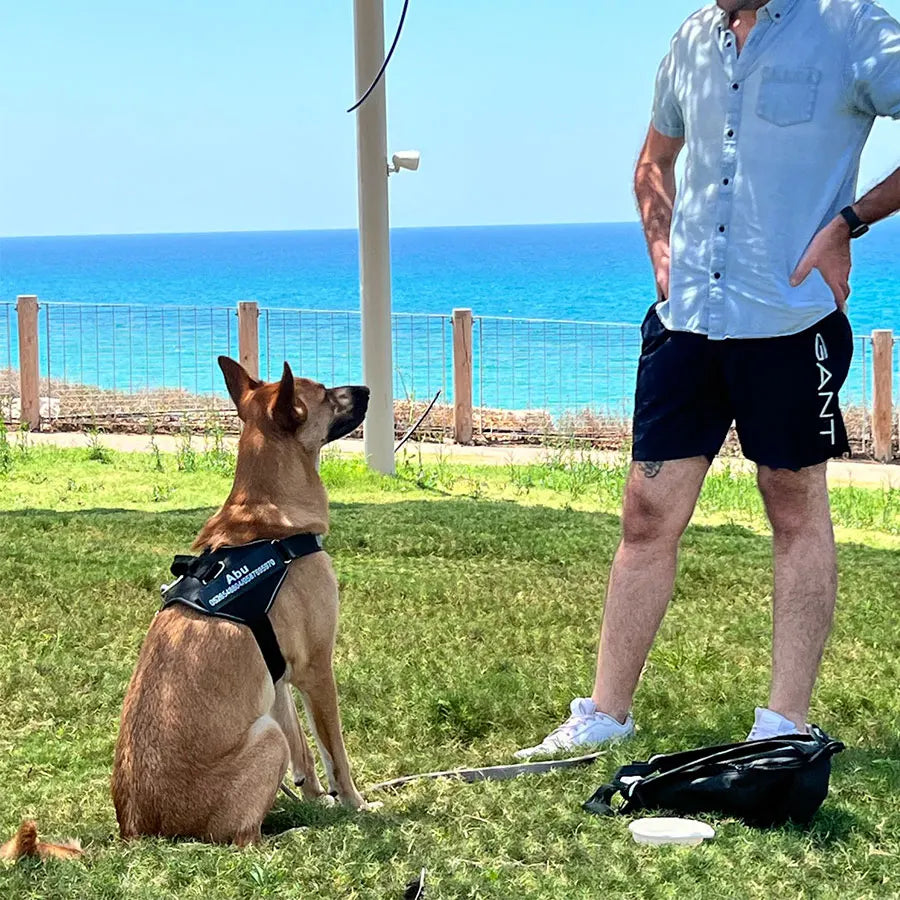 Pettorina Riflettente per Cani Anti-Tiro con Patch ID Personalizzabile - Traspirante e Regolabile